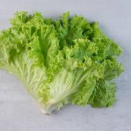 Impactul păstrării la rece asupra riscului de E. coli O157:H7 în salata verde